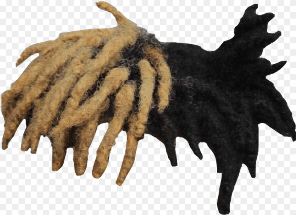 Report Abuse Xxxtentacion Hair Sticker, Person Free Png