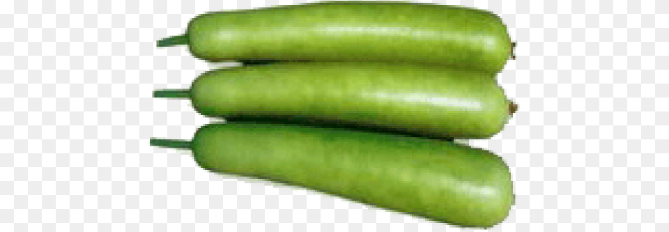 Report An Abuse For Product Bottle Gourd Bottle Gourd, Food, Produce, Plant, Vegetable Free Png Download
