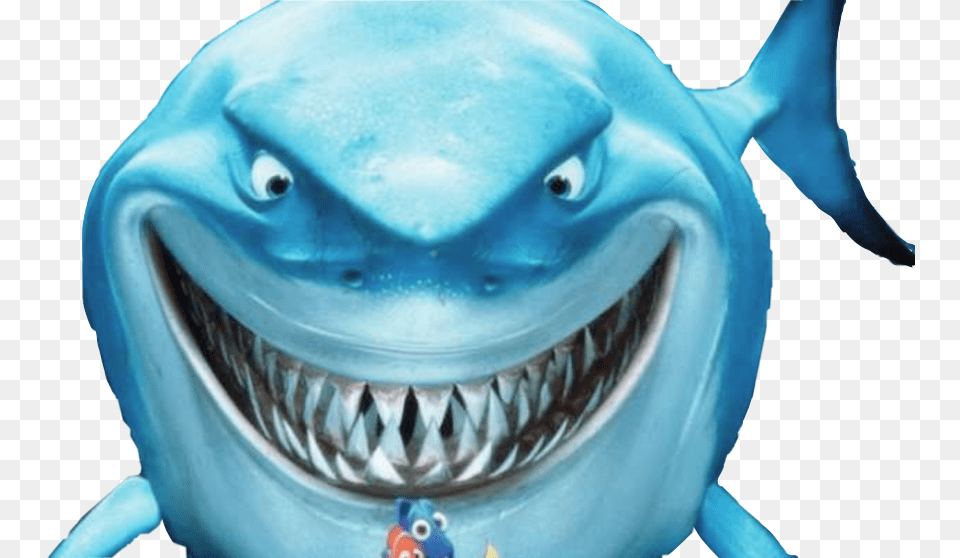 Reportar Abuso Finding Nemo Smiling Shark, Animal, Fish, Sea Life Png