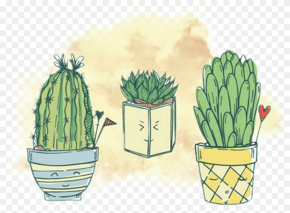 Reportar Abuso Flowerpot, Plant, Potted Plant, Cactus, Baby Png Image