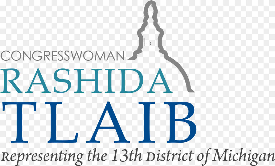 Representative Rashida Tlaib Discovery Practice Management, Book, Publication, Lighting Png