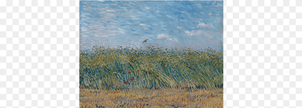 Reprodukcje Obrazw Vincent Van Gogh Wheatfield With Van Gogh Hay Stacks, Art, Grass, Painting, Plant Png