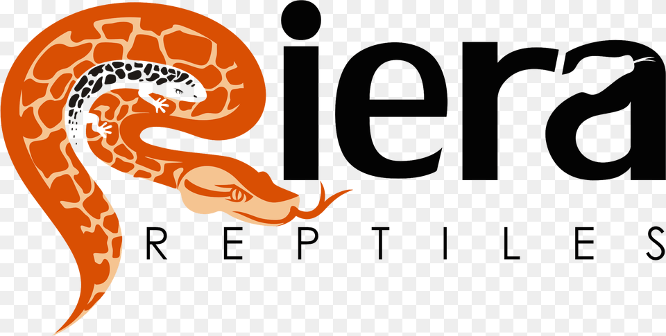 Reptile Breeder Logo, Animal, Rock Python, Snake, Blackboard Free Transparent Png