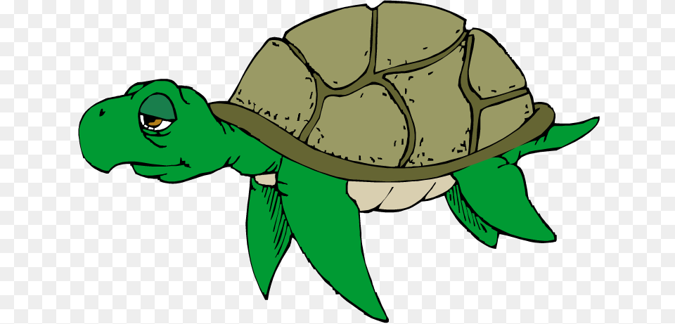 Reptile Clipart Turtle Swimming, Animal, Sea Life, Tortoise, Green Free Png Download