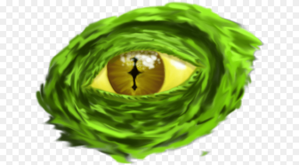 Reptile Eye Animal Eyes, Green, Adult, Female, Person Png Image