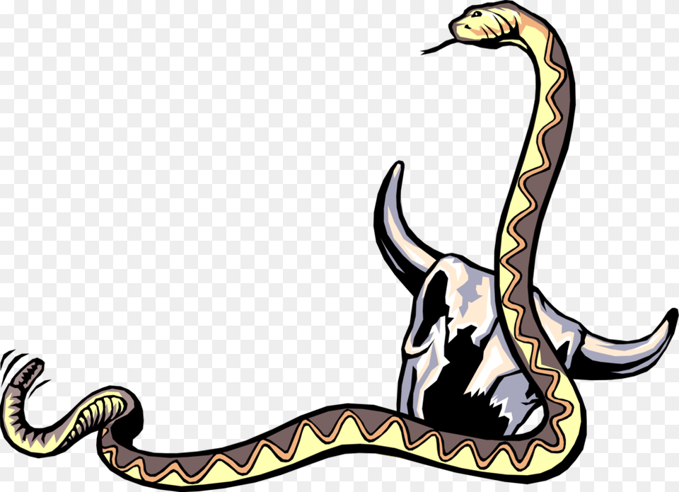Reptile Rattle Snake With Cow Skull, Animal Png