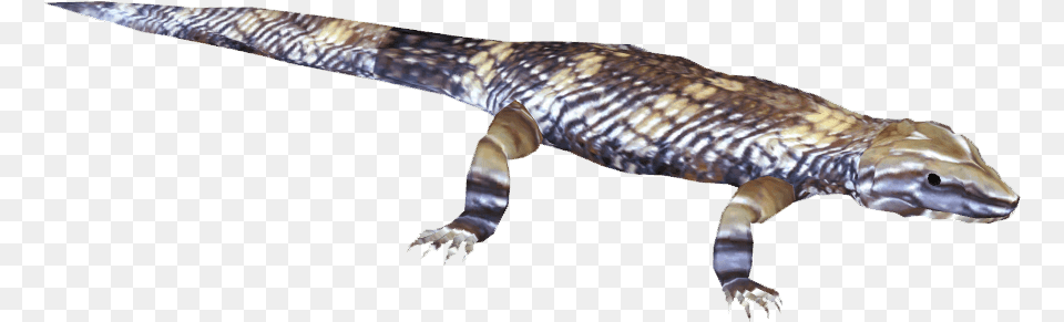 Reptile Tongue Blue Tongue Skink, Animal, Lizard, Amphibian, Salamander Free Png