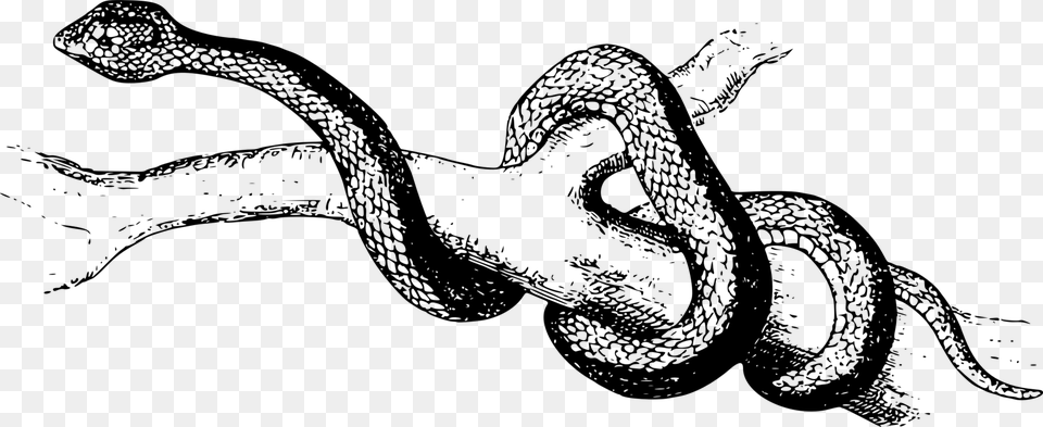 Reptileartserpent Slither Clipart Black And White, Gray Free Png Download