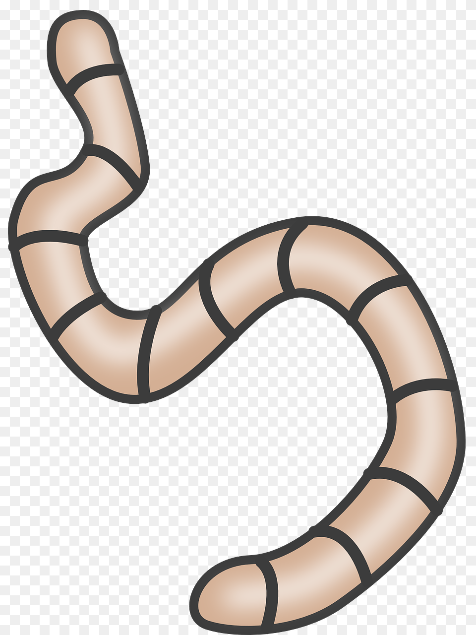 Reptilelineworm Transparent Worm Clipart, Animal, Smoke Pipe Png Image