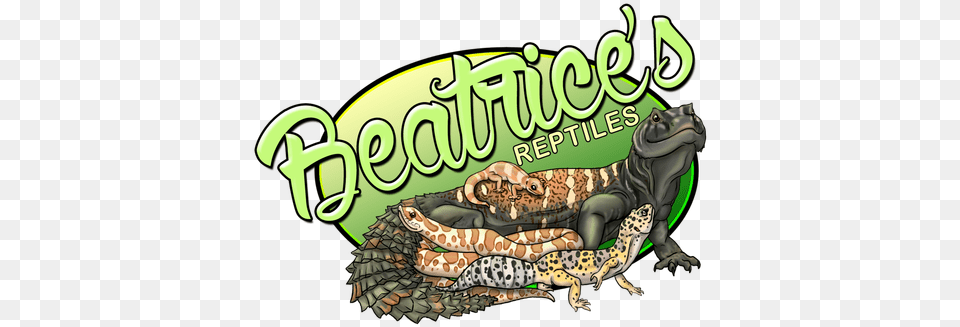 Reptiles Gila Monster, Animal, Reptile, Lizard, Iguana Png Image