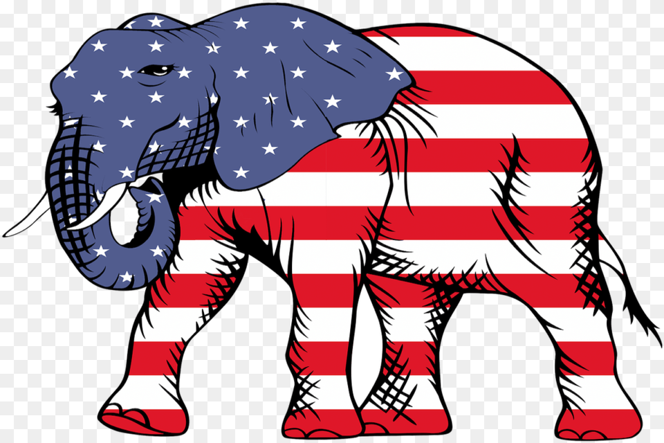 Republican America Elephant, Baby, Person, Animal, Wildlife Free Transparent Png