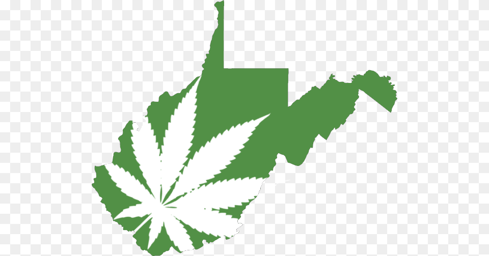 Republican Lawmaker In Wv Delivers An Emotional Defense West Virginia Is Not Virginia, Green, Herbal, Herbs, Leaf Png