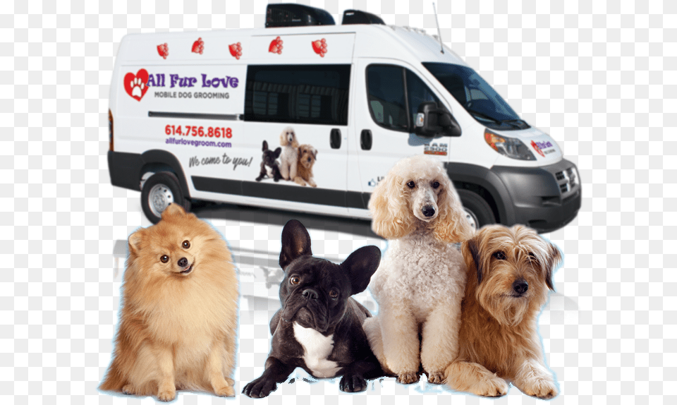 Request A Booking, Animal, Van, Transportation, Pet Png Image