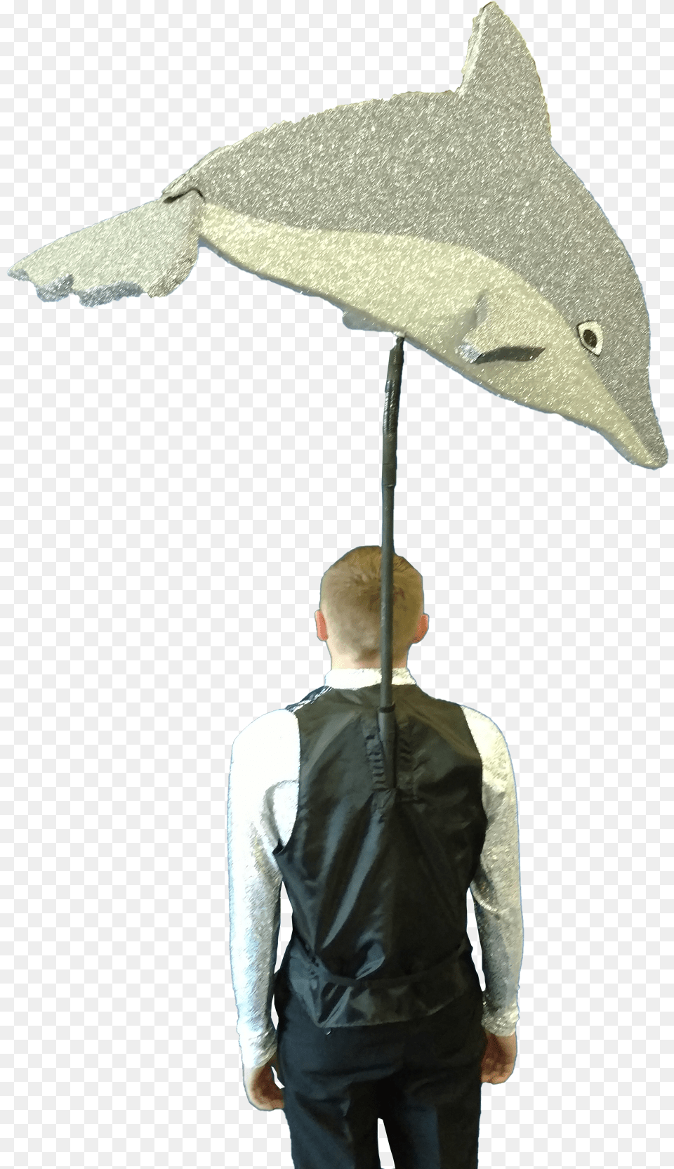 Requiem Shark, Adult, Person, Man, Male Png