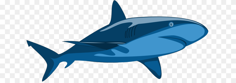 Requiem Sharks Douchegordijn Fauna Dolphin, Animal, Sea Life, Fish, Shark Png