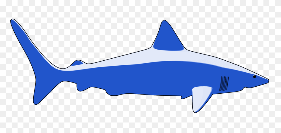 Requiem Sharks Great White Shark Fish Animal, Sea Life, Great White Shark Png Image