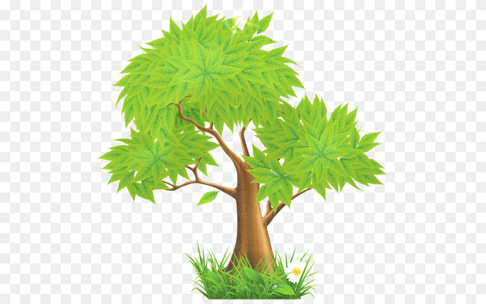 Res Green Painted Tree, Leaf, Oak, Plant, Sycamore Png