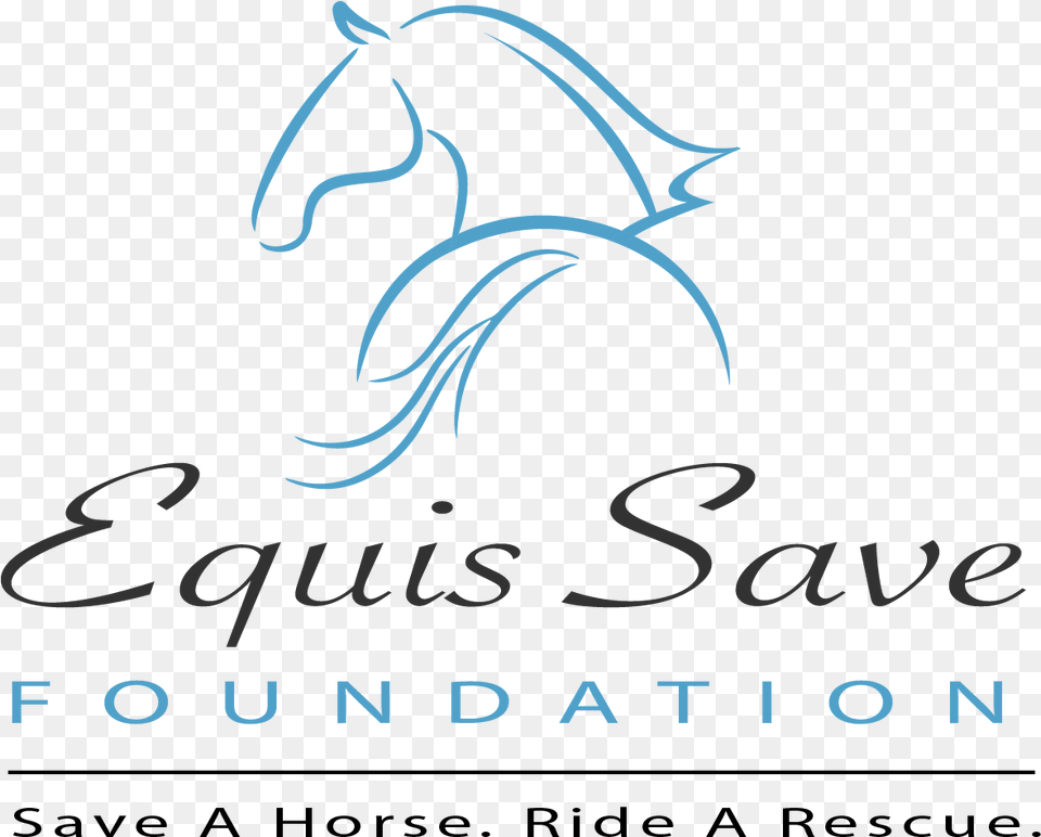Rescue Horses Graphic Design, Animal, Dolphin, Mammal, Sea Life Png Image