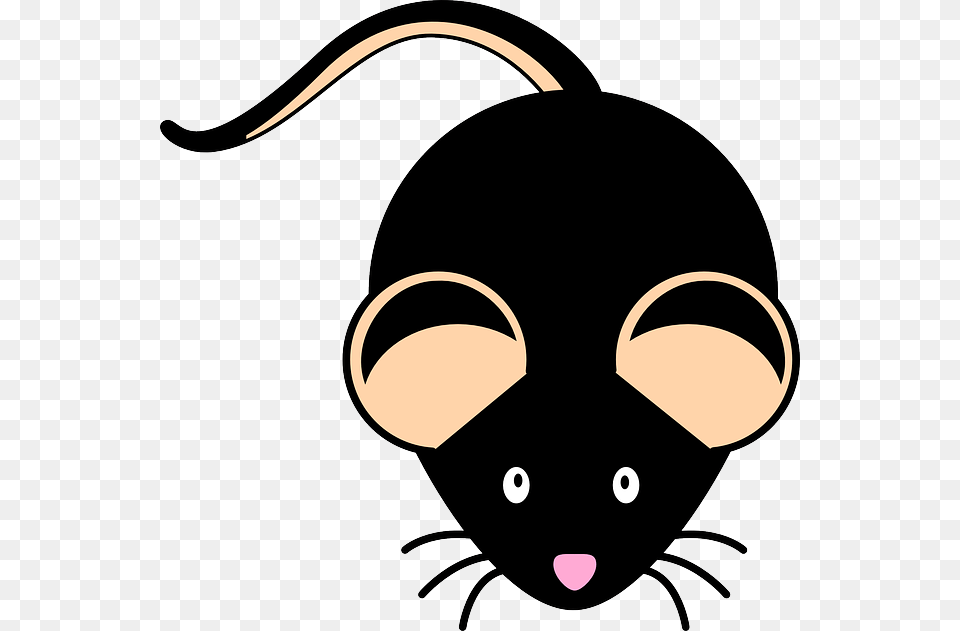 Researchers Study Mohawk Mice With Genetic Mutation Black Mouse Clipart, Clothing, Hardhat, Helmet Free Transparent Png