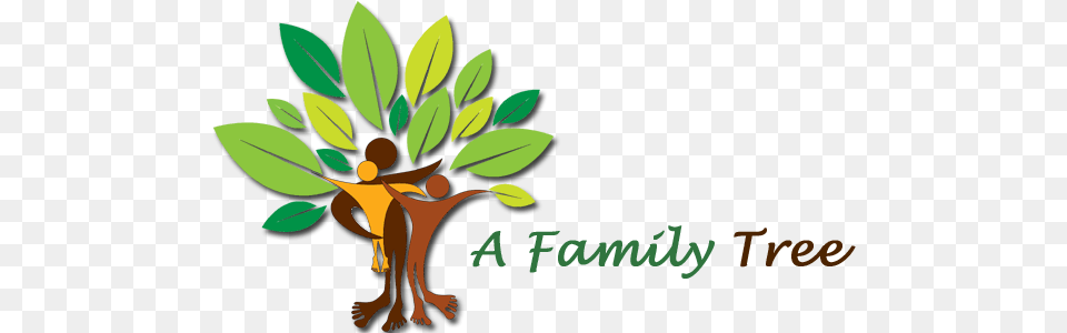 Researching Your Family History Can Teach You A Lot Family Tree Images, Vegetation, Plant, Outdoors, Nature Free Transparent Png