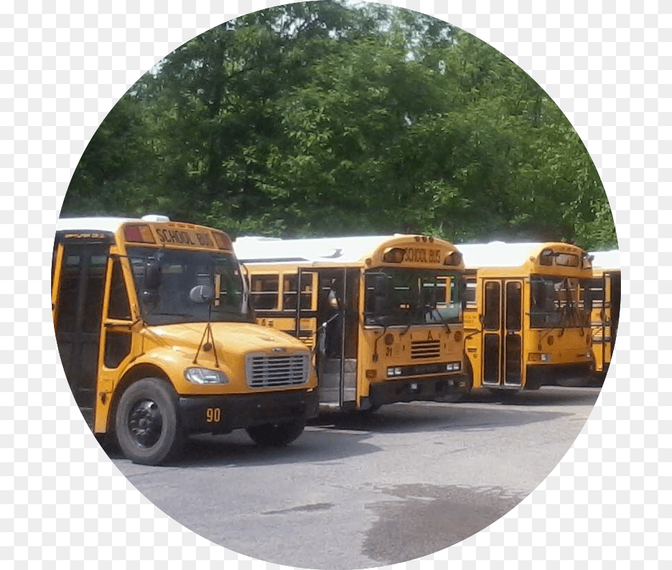 Reserve Party Room 75 School Bus, School Bus, Transportation, Vehicle, Machine Free Png