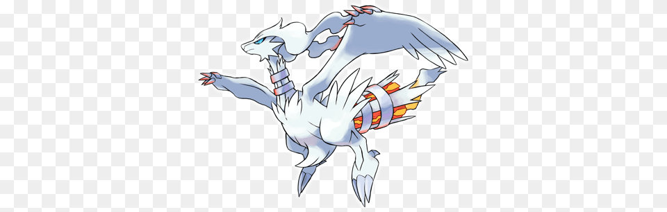 Reshiram Pokmon Ultra Sun And Ultra Moon, Baby, Person Png