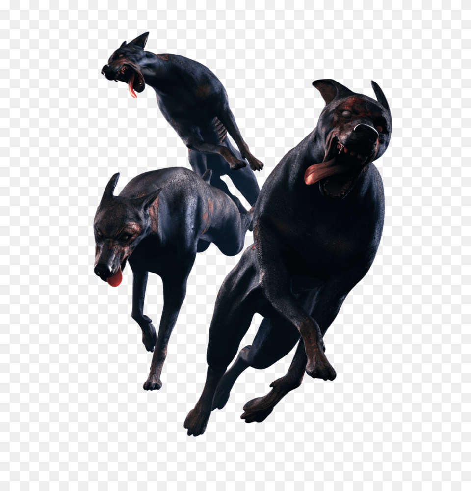 Resident Evil Dogs Resident Evil, Animal, Canine, Dog, Mammal Png Image