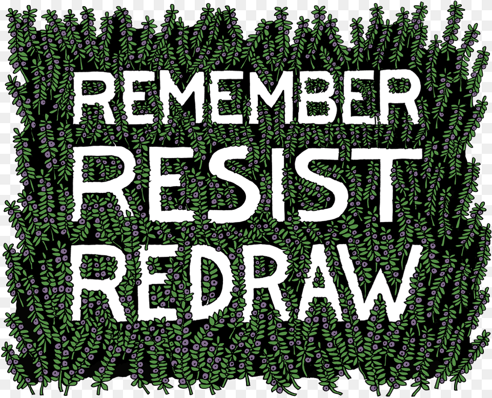 Resist Calligraphy, Plant, Tree, Vegetation, Green Free Png Download