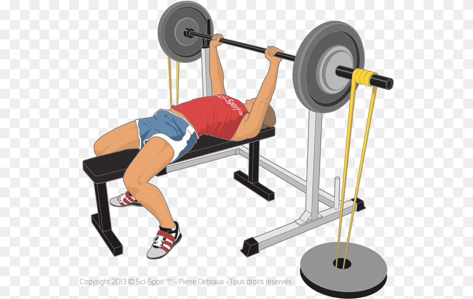 Resistance Bands Barbell Bench Press, Bench Press, Sport, Gym Weights, Gym Png Image