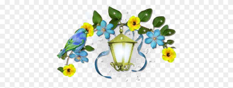 Resmin Boyutunu Grmek Bu Tiklayin Portable Network Graphics, Flower, Plant, Animal, Bird Free Transparent Png