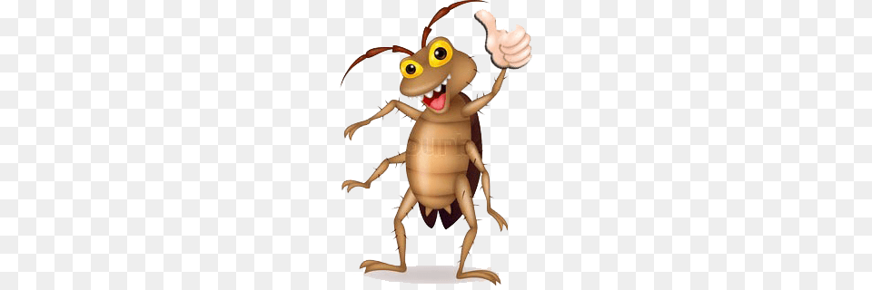 Resourceful Pest Control, Baby, Person, Animal, Cockroach Free Transparent Png