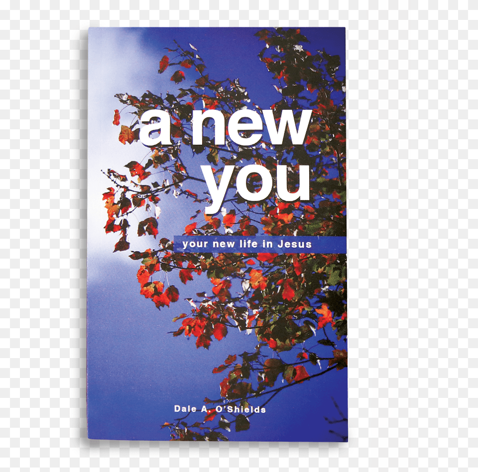 Resources Anewyou, Advertisement, Leaf, Plant, Poster Free Transparent Png