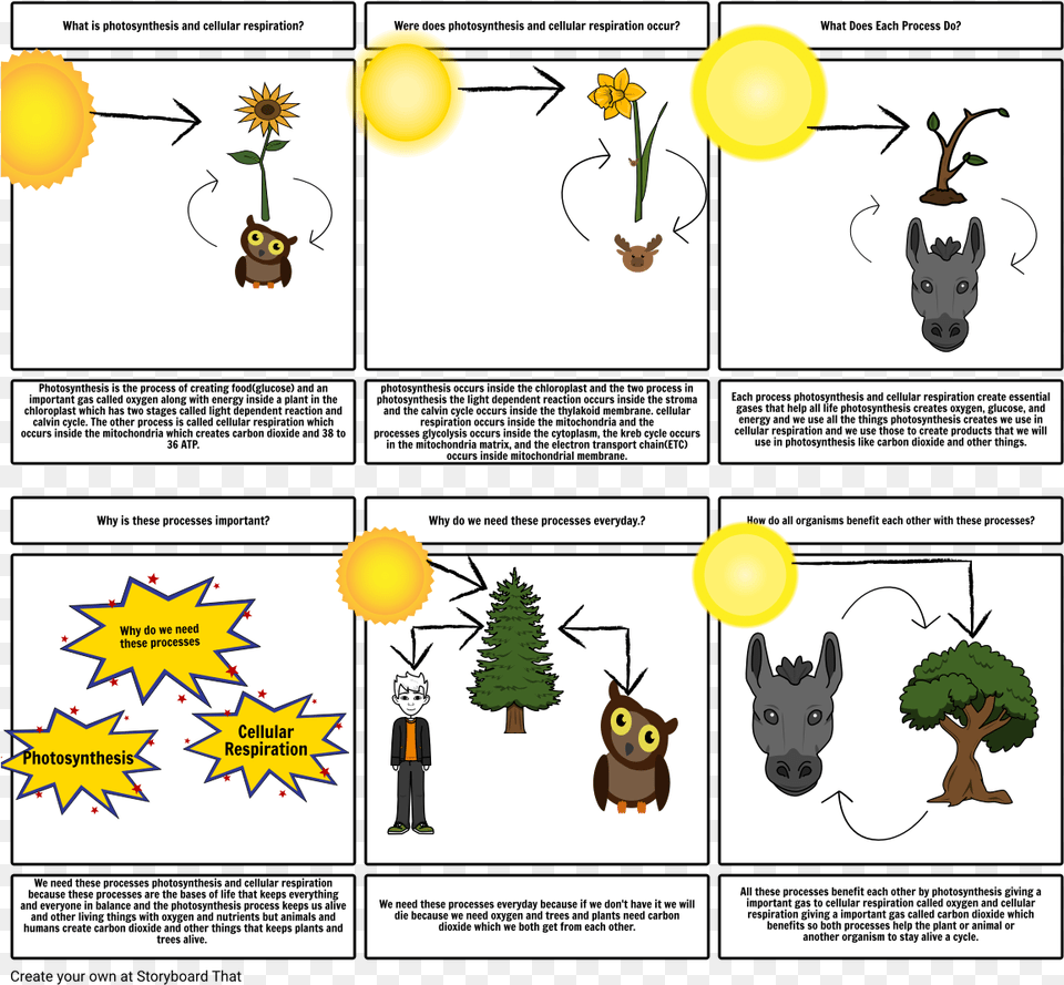 Respiration Of Animals And Plants Benefit Each Other, Publication, Book, Comics, Person Free Png