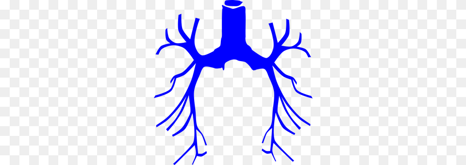 Respiratory Adult, Male, Man, Person Png