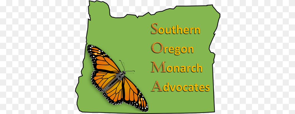 Responsible Controlled Monarch Rearing For Release They Weren39t Butterflies A Monarch Survivor39s Story, Animal, Butterfly, Insect, Invertebrate Png