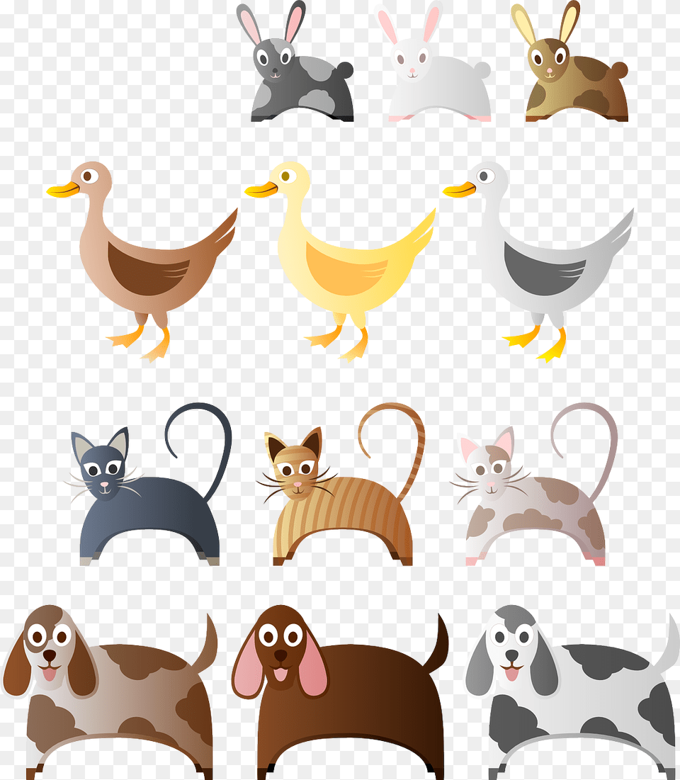 Responsible Dog Ownership, Animal, Bird, Canine, Mammal Png Image
