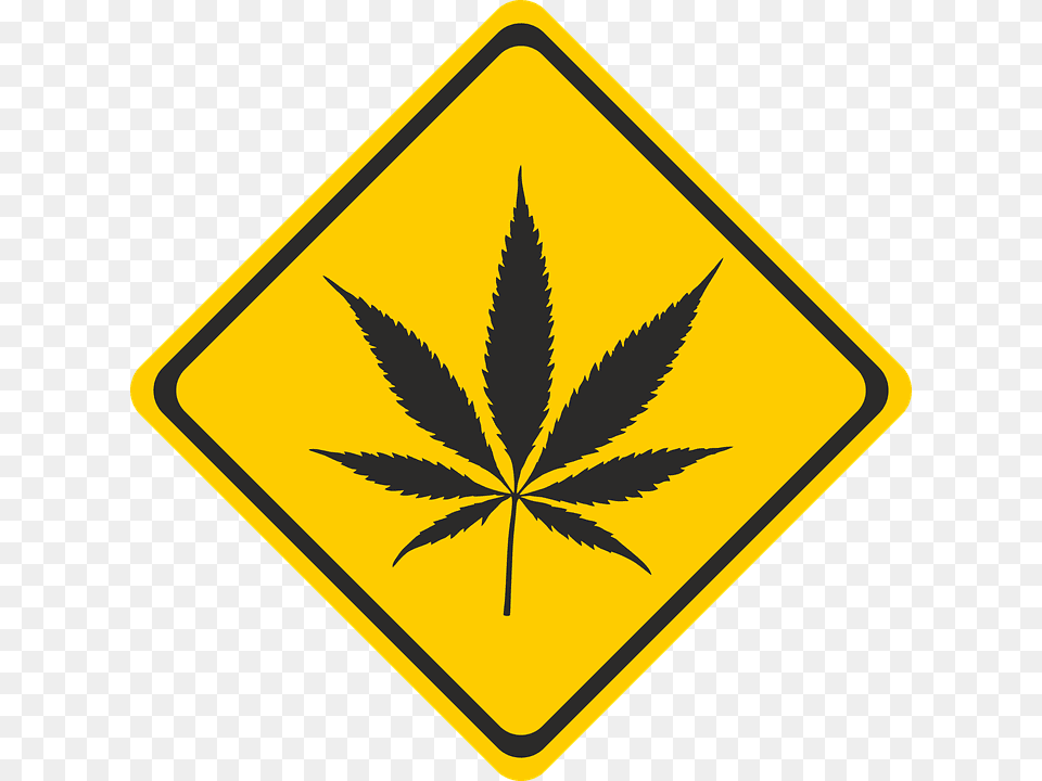 Responsible Recreational Marijuana Use In Nevada Pot Leaf, Plant, Symbol, Sign Free Transparent Png