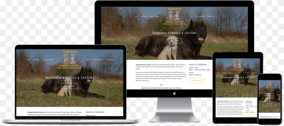 Responsive Website Design Web Design, Animal, Canine, Dog, Mammal Png Image