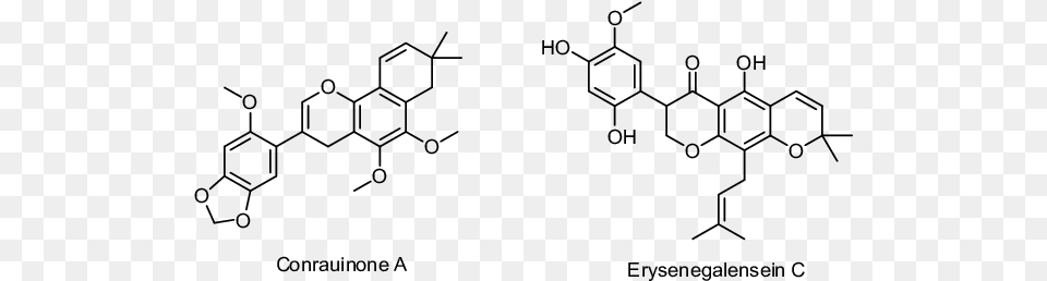 Respresentative Examples Of Bio Active Chrom Sigma Aldrich Sulisobenzone Cas, Gray Free Transparent Png