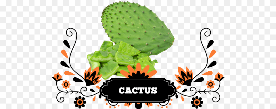 Rest Assured All Our Products Are Quality Mexican, Plant, Cactus Png Image