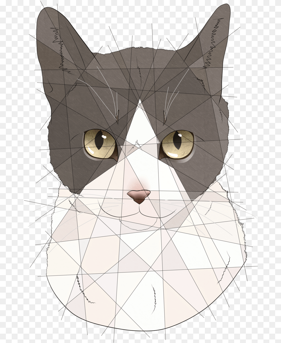 Resting Meme Faces Cat Deuces These Pieces Are On Domestic Short Haired Cat, Animal, Mammal, Pet, Fish Png Image