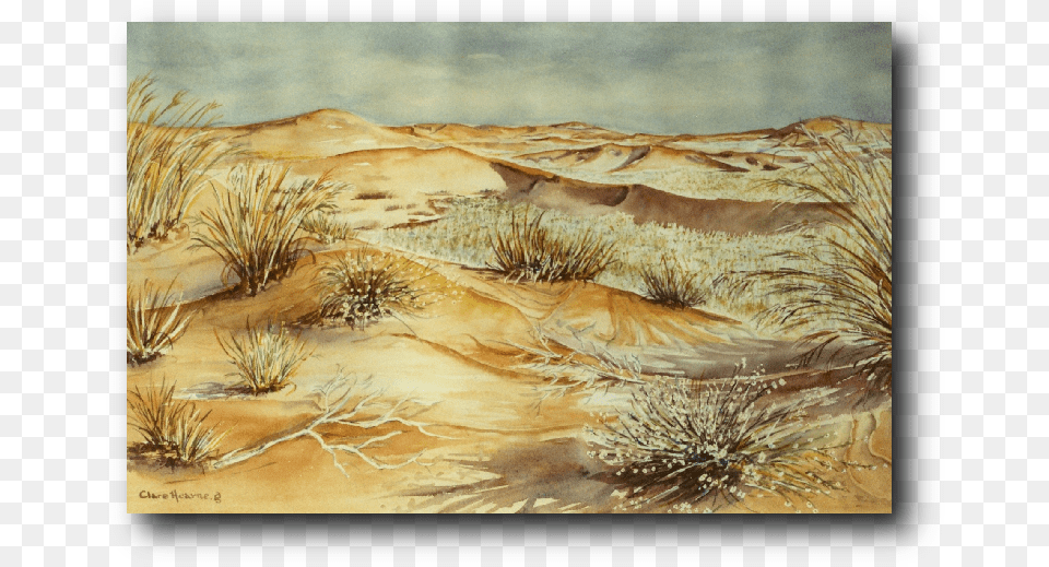 Restless Sands Visual Arts, Desert, Nature, Outdoors, Dune Free Png