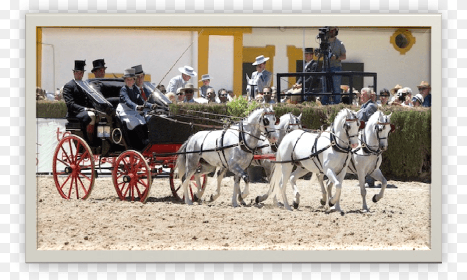 Restoration Presentation Phaeton Horse And Buggy, Carriage, Vehicle, Transportation, Person Free Png Download
