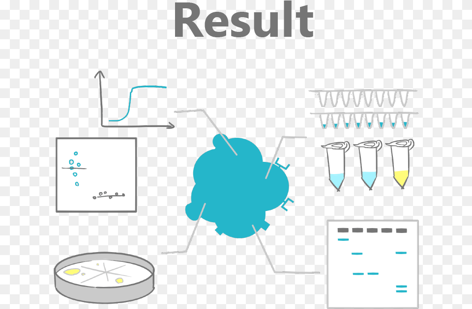 Result Free Transparent Png