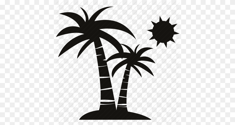 Result For Illustration Of Palm Tree With Coconuts And Sun, Palm Tree, Plant Png