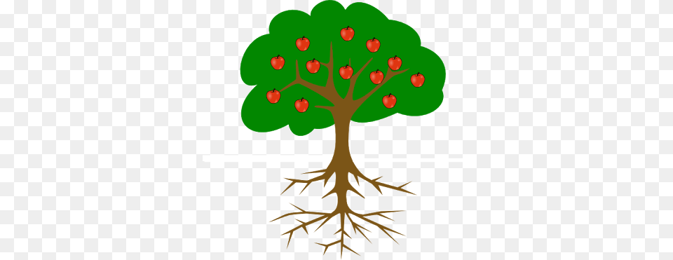 Result For Simple Tree Drawing With Roots And Fruit, Plant, Root Png