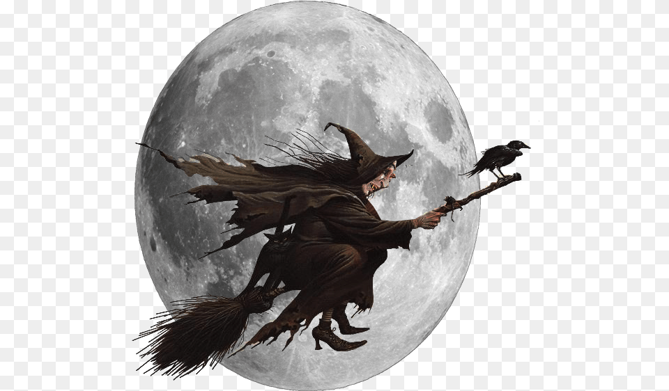 Result For Witch Scary Witch On A Broom, Moon, Astronomy, Outdoors, Nature Png