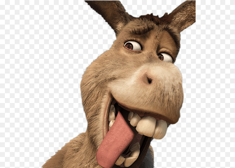 Resultado De Imagen De Burro Donkey Shrek, Animal, Mammal, Kangaroo Png