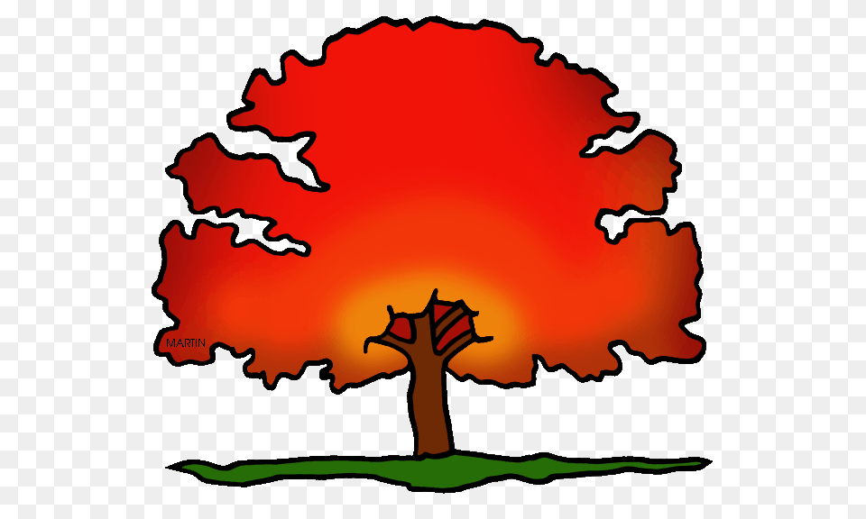 Resume Clipart Red Oak Tree, Plant, Nature, Outdoors, Sky Png