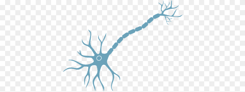 Rethinking Als Archives, Plant, Root Free Png Download